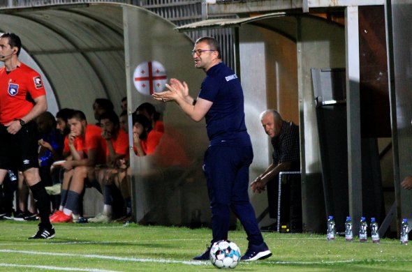 "ტირანამდე" "თელავია"