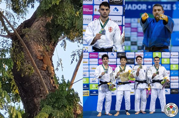 მხოლოდ 4 მედალი ეგზოტიკურ ეკვადორში მხოლოდ 4 მედალი ეგზოტიკურ ეკვადორში