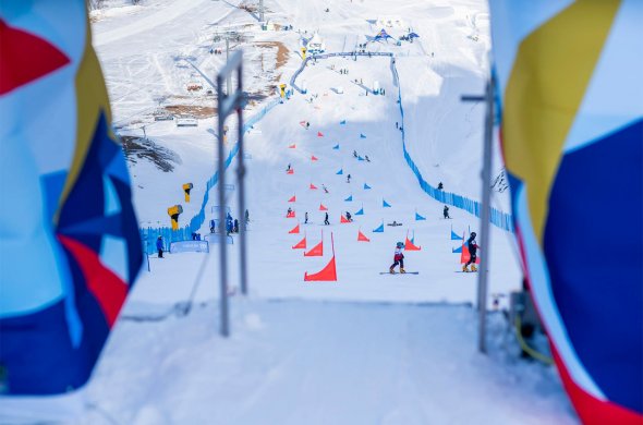 ბაკურიანის ეტაპები შვეიცარიელების კარნახით ჩატარდა