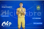 ყოჩაღ, შერმადინი!