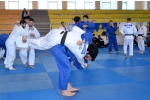 მთავარმა სპორტულმა ექიმმა, შეკრებაზე მყოფ ძიუდოისტებს ჩააკითხა