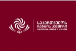 რაგბის კავშირს სამი ვიცე-პრეზიდენტი ყავს